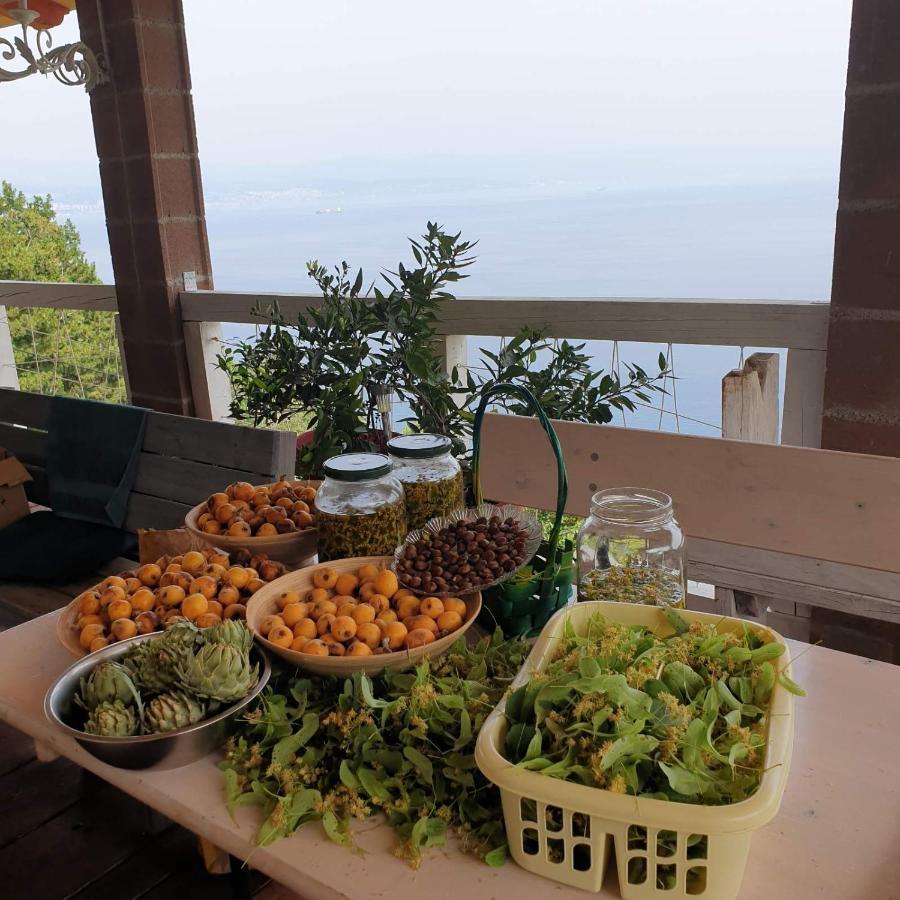 Mary'S Garden Villa Tulisevica Luaran gambar
