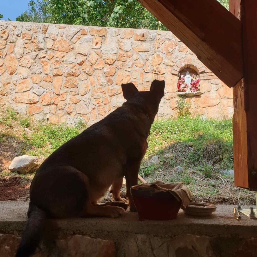Mary'S Garden Villa Tulisevica Luaran gambar