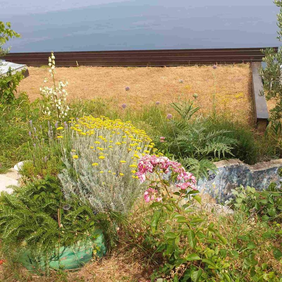 Mary'S Garden Villa Tulisevica Luaran gambar