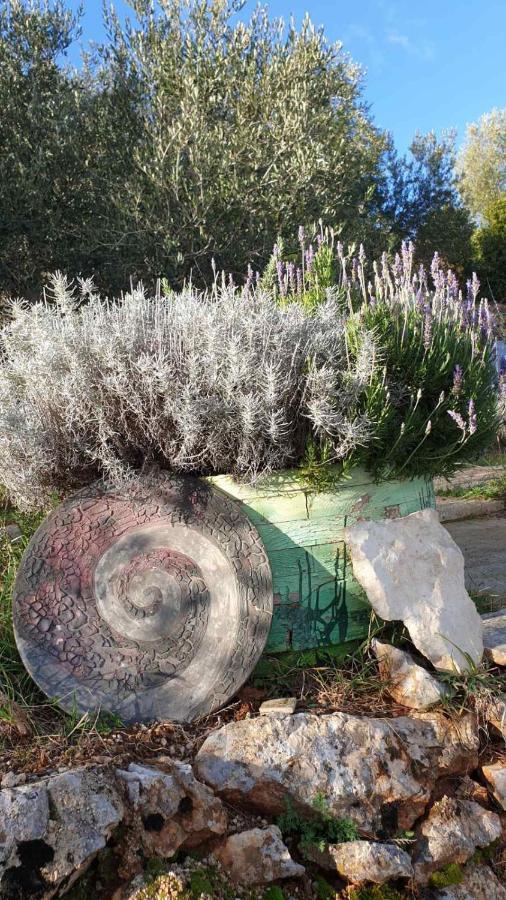 Mary'S Garden Villa Tulisevica Luaran gambar