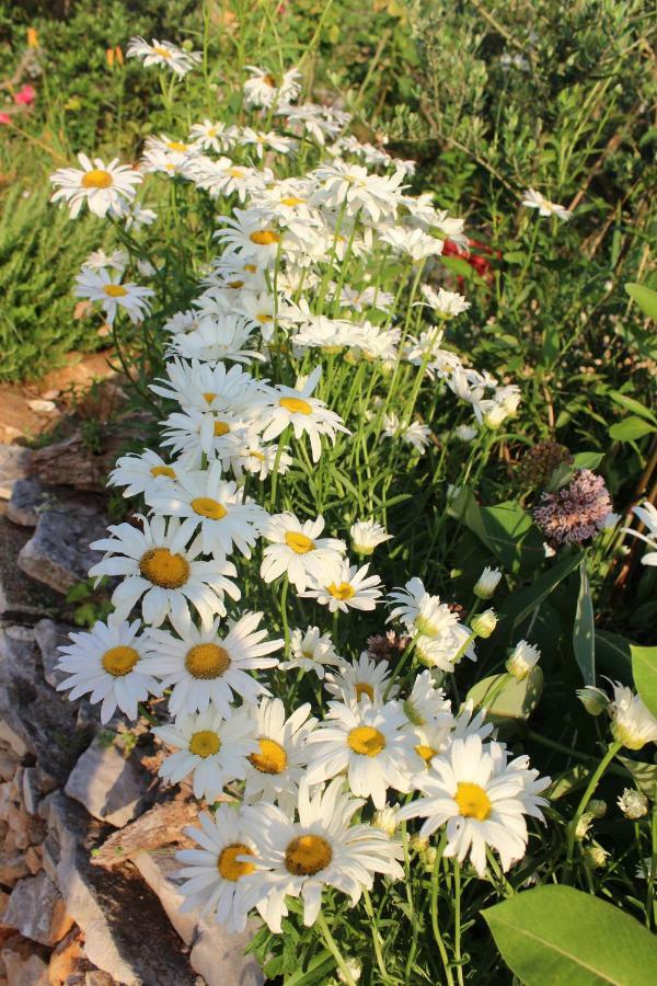 Mary'S Garden Villa Tulisevica Luaran gambar