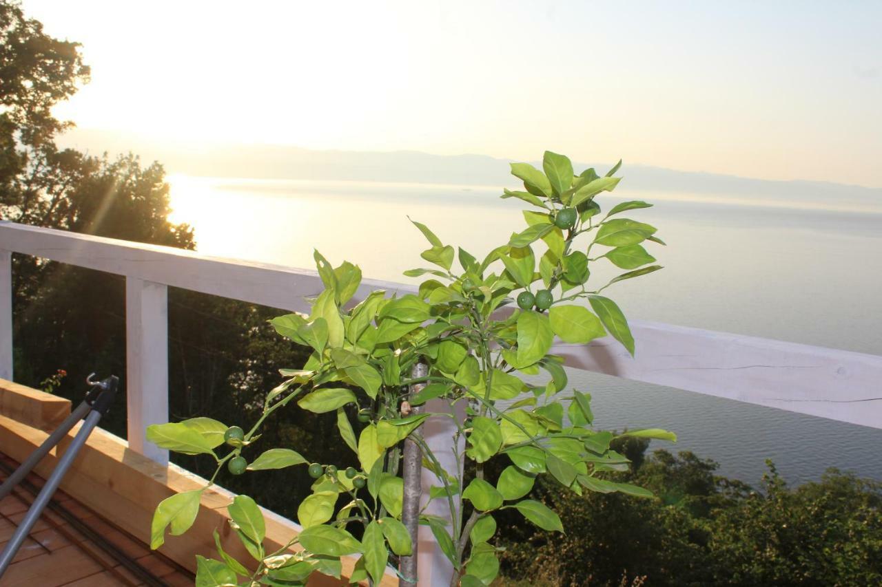 Mary'S Garden Villa Tulisevica Luaran gambar