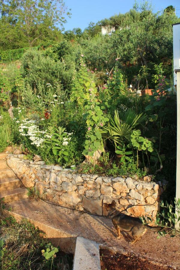 Mary'S Garden Villa Tulisevica Luaran gambar